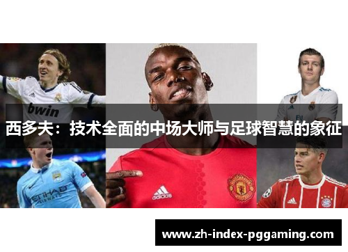 西多夫:技术全面的中场大师与足球智慧的象征 西多夫:技术全面的中场大师与足球智慧的象征