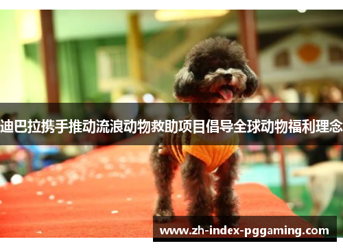 迪巴拉携手推动流浪动物救助项目倡导全球动物福利理念 迪巴拉携手推动流浪动物救助项目倡导全球动物福利理念