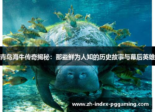 青岛海牛传奇揭秘：那些鲜为人知的历史故事与幕后英雄