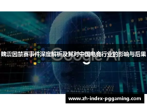 魏震因禁赛事件深度解析及其对中国电竞行业的影响与后果 魏震因禁赛事件深度解析及其对中国电竞行业的影响与后果
