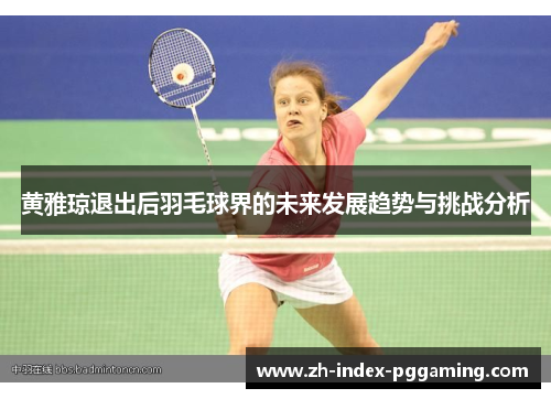 黄雅琼退出后羽毛球界的未来发展趋势与挑战分析
