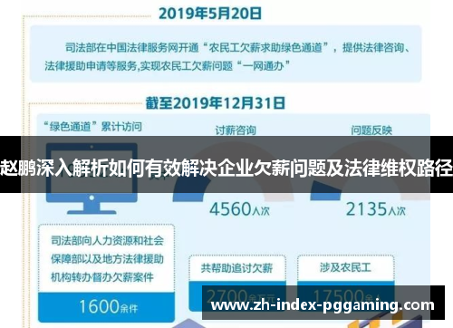 赵鹏深入解析如何有效解决企业欠薪问题及法律维权路径