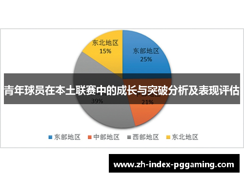 青年球员在本土联赛中的成长与突破分析及表现评估