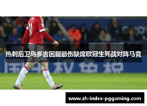 热刺后卫乌多吉因腿筋伤缺席欧冠生死战对阵马竞 热刺后卫乌多吉因腿筋伤缺席欧冠生死战对阵马竞