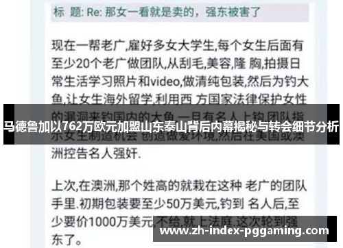 马德鲁加以762万欧元加盟山东泰山背后内幕揭秘与转会细节分析