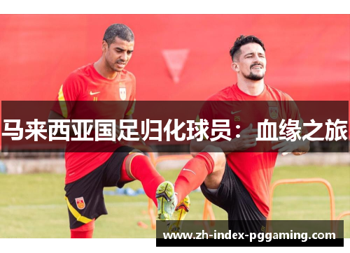 马来西亚国足归化球员：血缘之旅